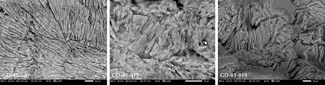 SEM-BSE images of the structure of sudoite