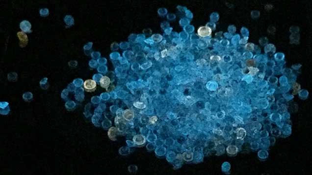 Blue phosphorescence in HPHT synthetic diamond melee