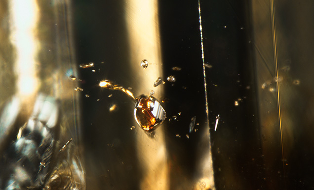 Figure 3. Multiple orange inclusions were observed in this bicolor diamond. The largest was identified as pyrope-almandine-grossular garnet. Photomicrograph by Mei Yan Lai; field of view 1.76 mm.