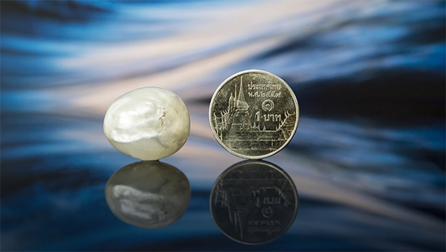 A 28.49 ct pearl next to a Thai one-baht coin for reference.