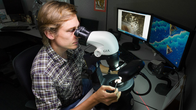 Microscopic observation of inclusions