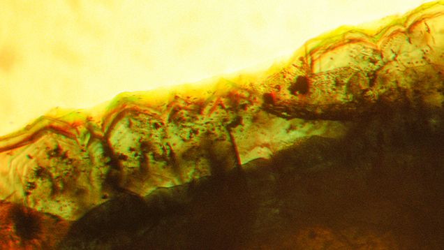 Irregular growth and color zoning in type 1 Nacken synthetic emerald