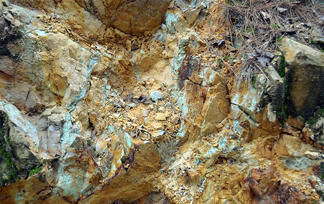 Figure 12. Turquoise mineralization in host novaculite at the Mona Lisa mine, facing south from the center of the trench. Photo by Thomas Paradise.