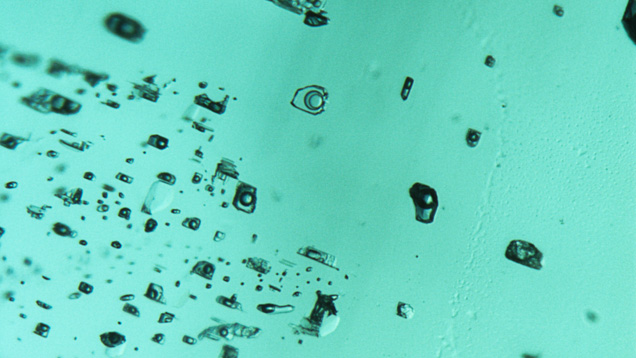 Blocky and irregular fluid inclusions