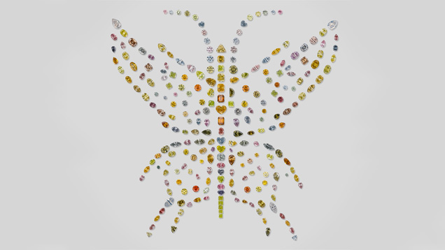 象征和平的极光蝴蝶