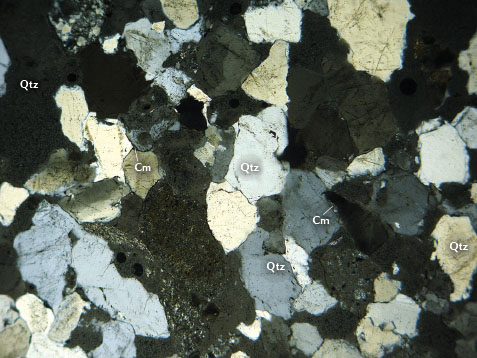 This thin section of amber-bearing sandstone contains quartz and sericitized clay minerals.