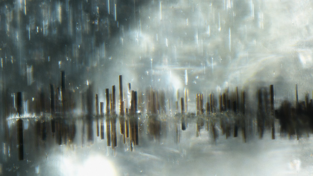 Blade-like magnetite inclusions developed from a healed fracture in a 2.08 ct Burmese peridot resemble a rainy lakeside city. Photomicrograph by Makoto Miura; field of view 1.06 mm.