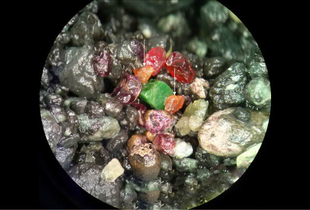 Figure 8. Broken-up sample of kimberlite from the Ekati diamond mine in northern Canada featuring colorful mantle indicator mineral grains. The bright green diopside and purple garnets are from peridotite, and the orange garnets (indicated by arrows) are from eclogite. Photo by Evan M. Smith; field of view approximately 2 cm.