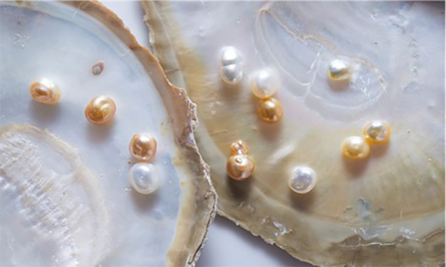 South Sea cultured pearls 