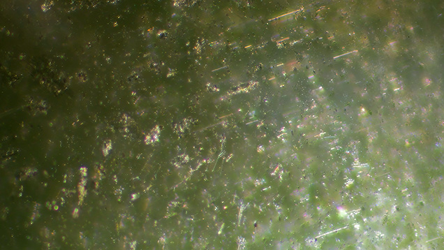 Figure 2. Short reflective needles create one of the four-rayed stars in the eight-rayed star peridot. Photomicrograph by Liviano Soprani; field of view 3 mm.