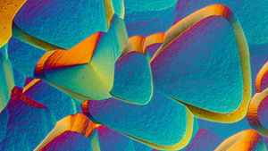 Fall 2022 Micro-World Banner