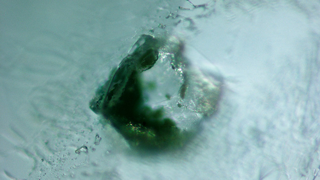 Monazite inclusion in alluvial Montana sapphire