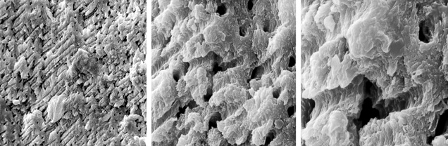 SP13-Zuowei-fig9 147431