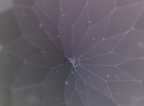 Chipped and worn coating