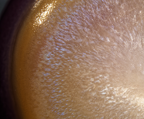 Characteristic blue reflective coloration of Spondylus pearls