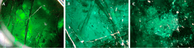 Figure 10. Inclusions in the pendant’s larger emerald: fissures (A), multiphase inclusions with roundish outlines (B), and thin films (C). Photomicrographs by Gérard Panczer (A) and Aurélien Delaunay (B and C); fields of view 3.0 mm (A) and 1.5 mm (B and C).