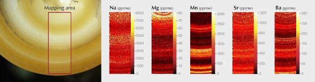 Figure 18. LA-ICP-MS elemental maps of a cross section of a cultured pearl. The red rectangle indicates the area mapped, measuring 1200 × 3400 μm.