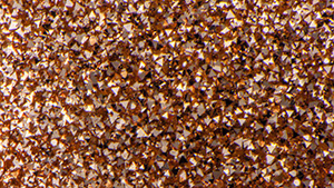 Spring 2024 Micro-World Banner