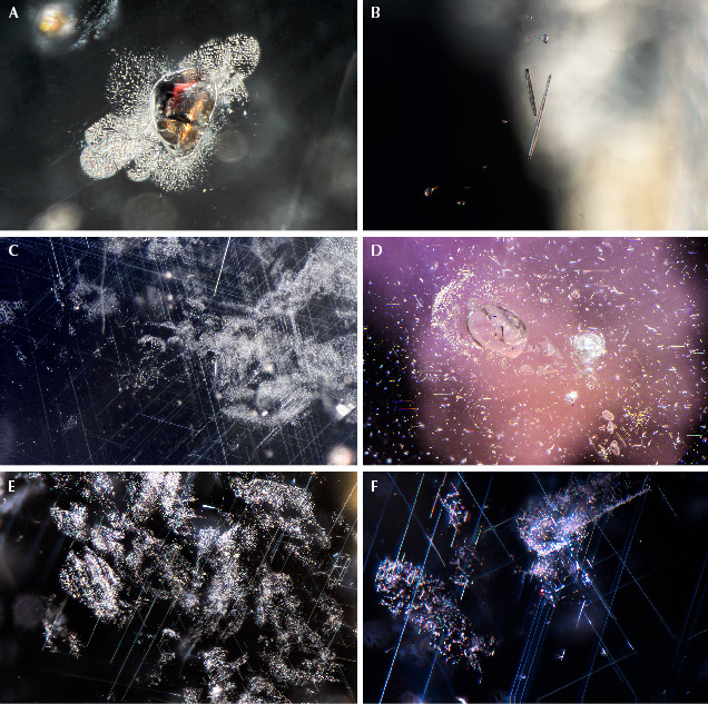 Microscopic images showing various particles and structures, including organic materials and crystalline formations.