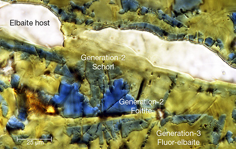 Chemical zones in a tourmaline fiber