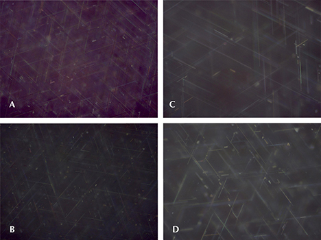 Rutile needles in four synthetic corundum samples with double stars, observed in a view toward the curved dome