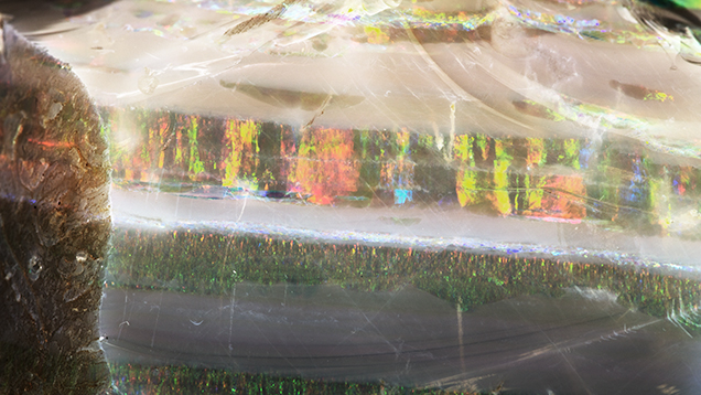 Close-up view of 3,019 ct rough opal