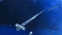 Trigons on Diamond 300x169