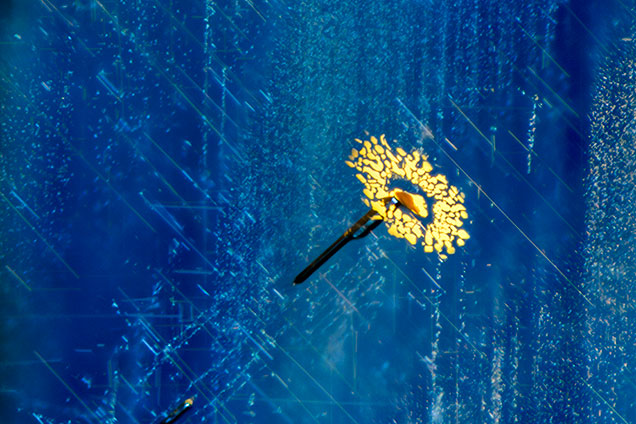 Sapphire inclusion scene resembling a flower.
