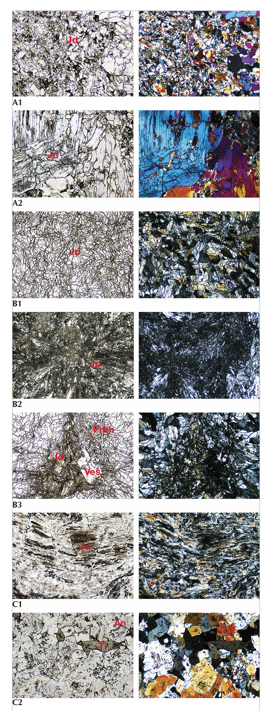 Figure 7. Petrographic microscope images of jadeite samples from Itoigawa. The left images are under plane-polarized light, the right images under cross-polarized light. Jd, Preh, Ves, An, and Ti indicate jadeite, prehnite, vesuvianite, analcime, and titanite, respectively. A1: Green jadeite K-IT-JP-14 shows a prismatic-granular crystalloblastic texture, a distribution of fine colorless cryptocrystalline grains of jadeite, and a predominance of grains around 0.05–0.3 mm in size. A2: Coarse pale green grains larger than 2 mm can also be observed in the same matrix, which is a well-formed large jadeite single crystal. The prominent (110) cleavage planes intersecting at 87° are characteristic of pyroxene. B1: Lavender jadeite K-IT-JP-25 shows near-colorless fine and micro-grained jadeite crystals with a prismatic crystalloblastic texture. B2: Ultramylonitic zones with radiating aggregates of fine jadeite grains cut randomly through the center of the matrix, indicating a lithostatic pressure during the metamorphic process. B3: Dark gray prehnite and analcime, the main constituents of the veinlets that cut through this lavender jadeite, were formed by hydrothermal fluids. A high-relief prismatic vesuvianite crystal was also found as a component mineral. C1: K-IT-JP-16 is a predominantly blue specimen, translucent with fine cryptocrystalline grains. C2: Crushed preexisting minerals produce a flow structure with granoblastic and mylonitic texture. The component minerals analcime and a very minor amount of euhedral titanite grains are observed in the matrix. Photomicrographs by Ahmadjan Abduriyim.