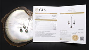 GIA is adding a report comment employing the trade color term “Peacock” for designated colors of cultured pearls from the Pinctada margaritifera black-lipped pearl oyster, commonly known as Tahitian pearls.