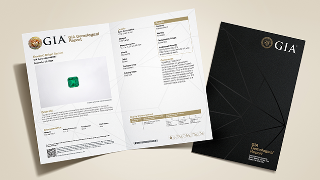 CS Report Conversion Promo