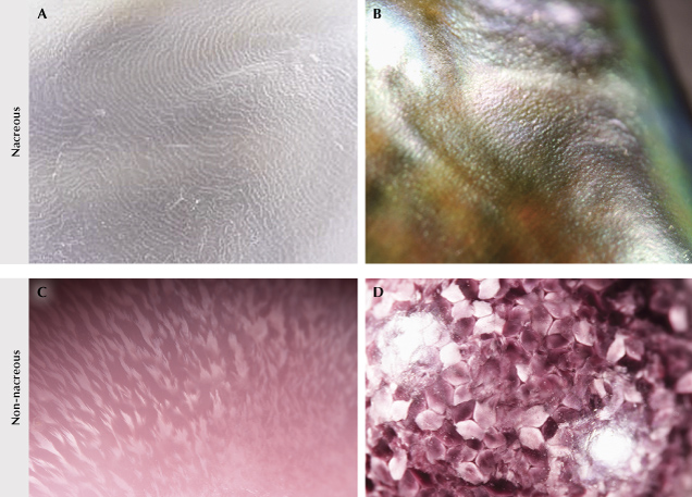 Figure 10. Nacreous vs. non-nacreous surface structures seen in various types of pearls. A: Platy structure patterns on pearls from Pinctada species mollusk. B: Patches of color and a botryoidal-like subsurface structure on the nacreous surface of an abalone pearl. C: Flame structures seen on a Queen conch pearl. D: Patchwork cells and sheen appearance of a scallop pearl. Photomicrographs by GIA staff; fields of view 0.83 mm (A), 3.9 mm (B), and 0.72 mm (C and D).
