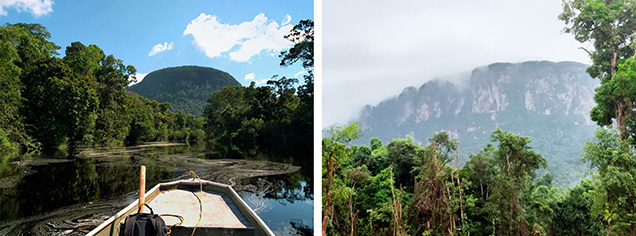 Roraima Mountain (left) and outcrop of Roraima Supergroup rocks (right).