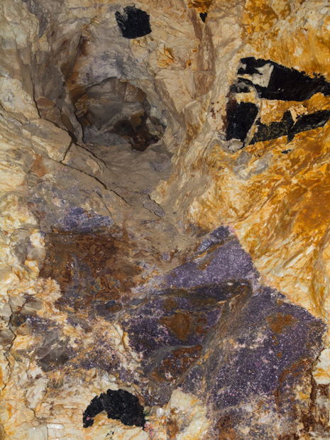 Tragedy, Perseverance, and Success