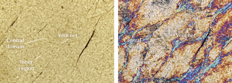 Figure 11. Microstructure of the interior of a pseudomorph with a vein net, inner region, and central domain (sample ELS27). Plane-polarized illumination (left) and cross-polarized illumination (right). Photomicrographs by Meiyu Shih; field of view 262 μm.