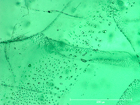 Veil-like feathers in Nacken synthetic emerald