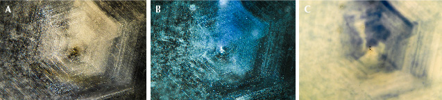 Figure 42. Example 1 before heat treatment under fiber-optic illumination (A), after heat treatment under fiber-optic illumination (B), and after heat treatment under diffuse transmitted illumination (C). Photomicrographs by Aaron Palke; field of view 4.08 mm.