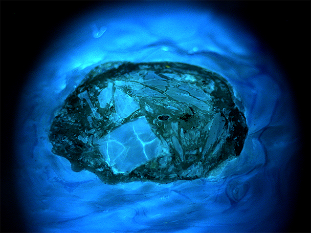 Fluorescence reactions of the pearl’s surface, shell pieces, and filler.