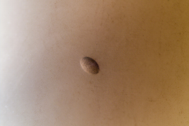 An elongated gas bubble was observed in the white bangle.