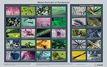 This chart contains a selection of photomicrographs of natural tourmaline and tourmaline inclusions in other natural gemstones. It is by no means comprehensive. The images show the appearance of numerous features a gemologist might observe with a microscope.