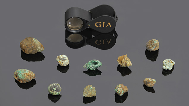 Shell outlines with green emerald grains are clearly seen in these fossilized shells. Shell outlines with green emerald grains are clearly seen in these fossilized shells.