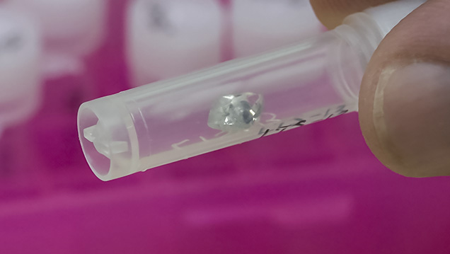 IMG - RN Pay 内含物 157932 636x358