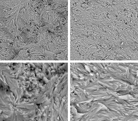 SEM photos of the Band 