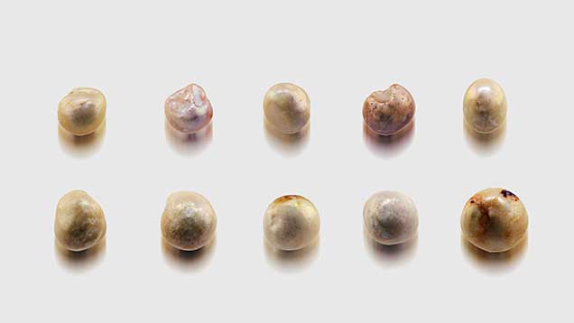 Undrilled natural pearls in various sizes.