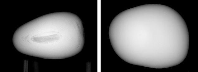 X-ray of examined pearl and natural conch pearl.