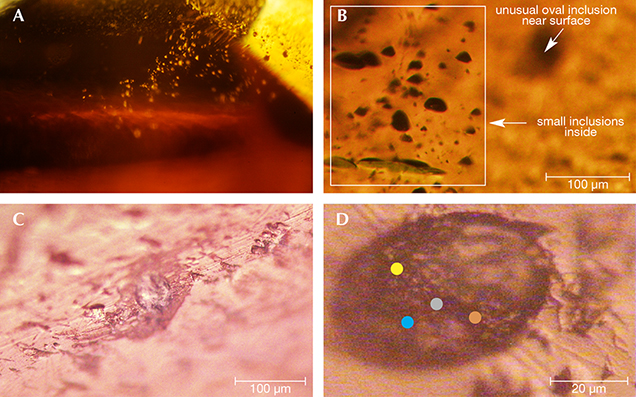 Internal features of a by-product synthetic zincite