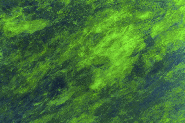 Play-of-color is the defining characteristic of gem opals. While play-of-color can be quite spectacular under magnification, as with the roiled green patterns seen in this crystal opal, other microscopic features are often found if one takes the time to look. Field of view 9.60 mm. Photomicrograph by Nathan Renfro