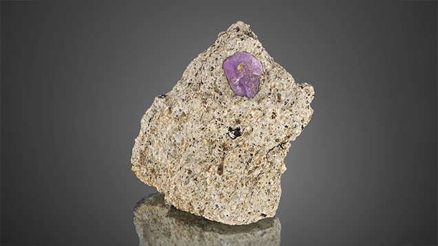 Figure 20. Pink sapphires are occasionally seen in French Bar sill basaltic trachyandesite (CRK-FBS 047). This 10 mm long pink sapphire crystal is outlined in easily visible biotite (phlogopite). Photo by Jeff Mason.