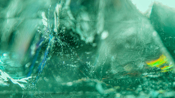 Flash effect seen in feathers, providing evidence of clarity enhancement; field of view 2.90 mm.