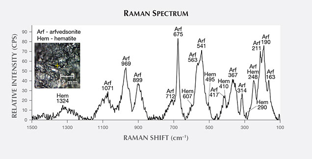 Analysis of black spot in dalmatian stone